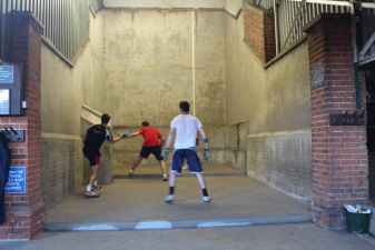 IMG 2616