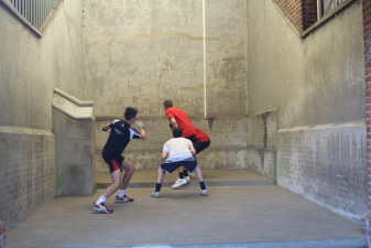 IMG 2617