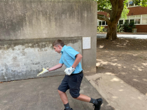 geelong feb 2024 005